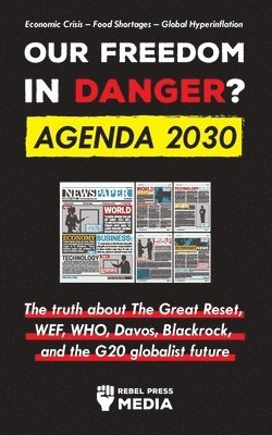 bokomslag Our Future in Danger? Agenda 2030