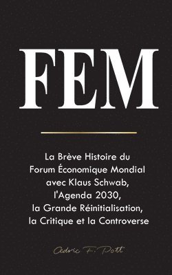 Fem 1