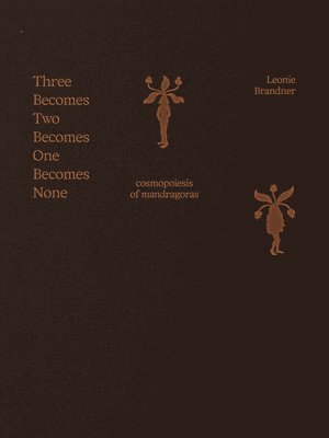 bokomslag Three Becomes Two Becomes One Becomes None