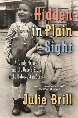Hidden in Plain Sight 1