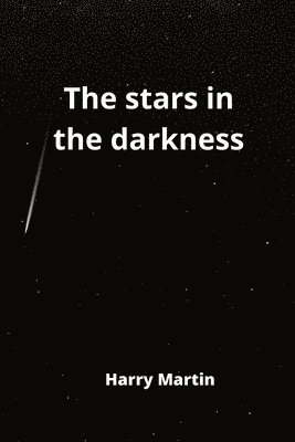 bokomslag The stars in the darkness