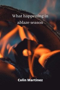 bokomslag what happening in ablaze season