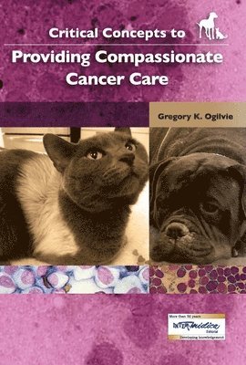 bokomslag Critical Concepts to Providing Compassionate Cancer Care