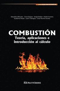 bokomslag Combustión: Teoría, aplicaciones e introducción al cálculo