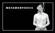bokomslag Metamorphosis: Flip Book