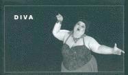 bokomslag Diva: Flip Book
