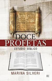 bokomslag Doce profetas