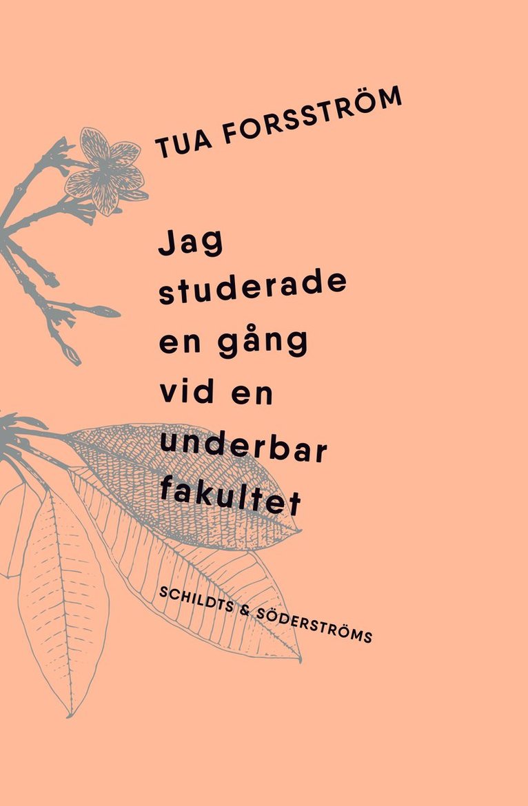 Jag studerade en gång vid en underbar fakultet 1