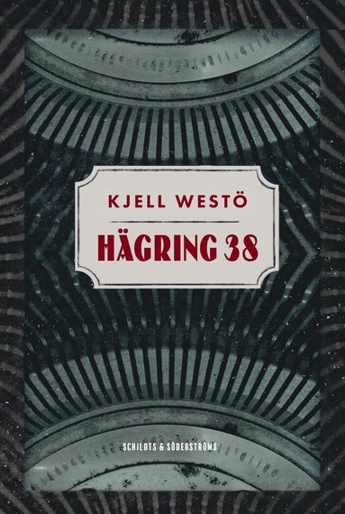 bokomslag Hägring 38