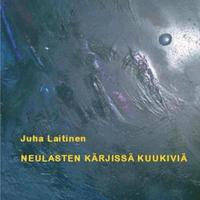 bokomslag Neulasten kärjissä kuukiviä
