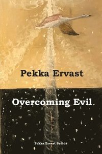 bokomslag Overcoming Evil