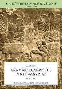 bokomslag Aramaic Loanwords in Neo-Assyrian 911612 B.C.