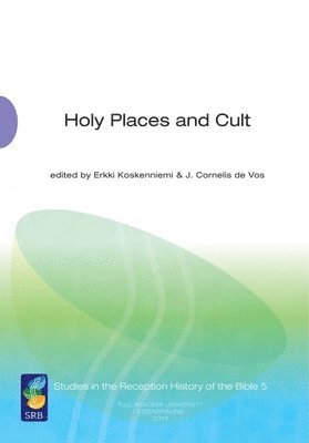 bokomslag Holy Places and Cult