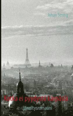 Johan Streng - Kotka ei pyydystä kärpäsiä, Häftad