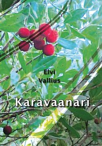 bokomslag Karavaanari