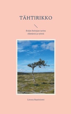 bokomslag Tähtirikko