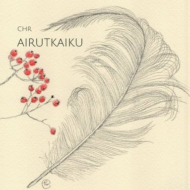 bokomslag Airutkaiku