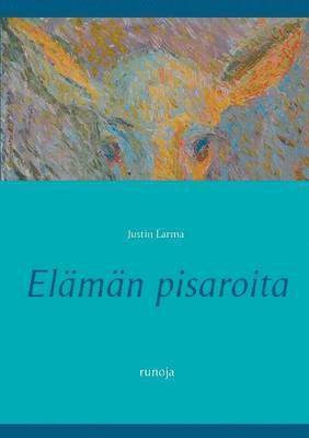 bokomslag Elämän pisaroita