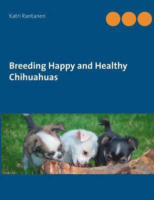 Breeding Happy and Healthy Chihuahuas 1