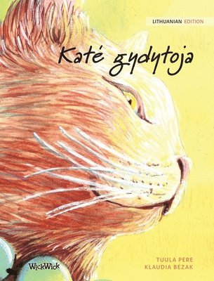 Tuula Pere - Kate gydytoja, Inbunden