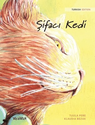 &#350;ifac&#305; Kedi 1