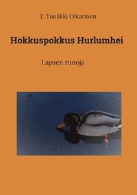 bokomslag Hokkuspokkus Hurlumhei