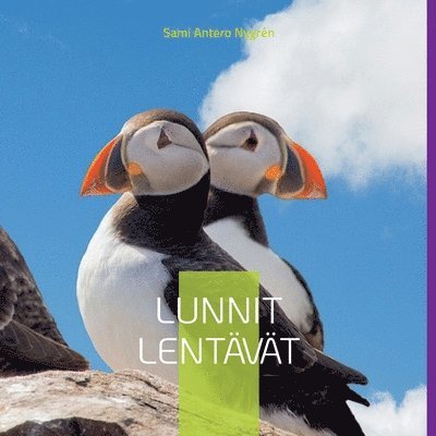 Lunnit Lentvt 1