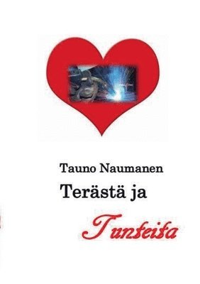 bokomslag Terasta ja tunteita