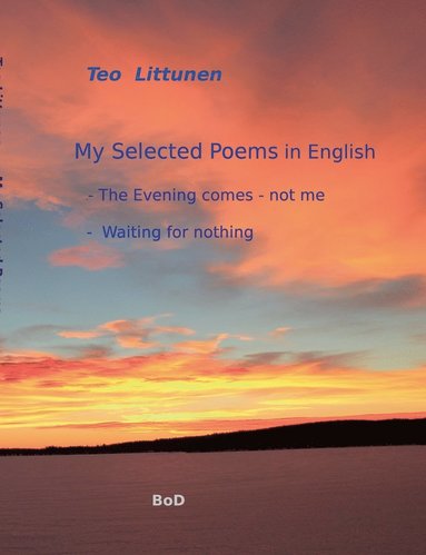 bokomslag My Selected Poems in English