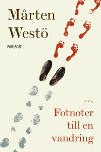 bokomslag Fotnoter till en vandring