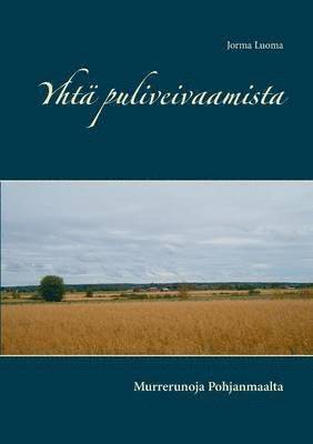 bokomslag Yhtä puliveivaamista