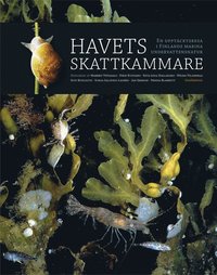 bokomslag Havets skattkammare : en upptäcktsresa i Finlands marina undervattensnatur