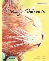 bokomslag Macja Shëruese