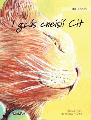 bokomslag I gcás cneisií Cit