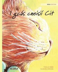 bokomslag I gcás cneisií Cit