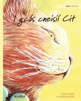 bokomslag I gcás cneisií Cit