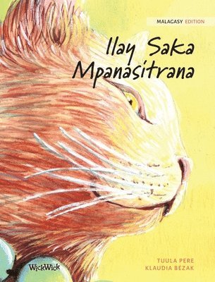 Ilay Saka Mpanasitrana 1