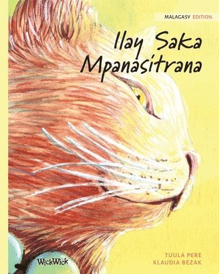 Ilay Saka Mpanasitrana 1