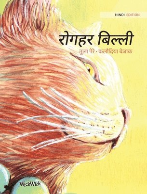 Tuula Pere - रोगहर बिल्ली, Inbunden