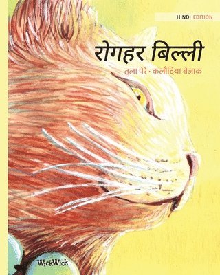 Tuula Pere - रोगहर बिल्ली, Häftad