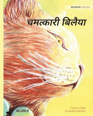 Tuula Pere - चमत्कारी बिलैया, Häftad
