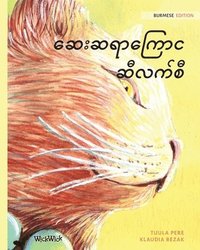 bokomslag Healer Cat (Burmese)