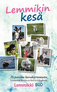 bokomslag Lemmikin kesäloma