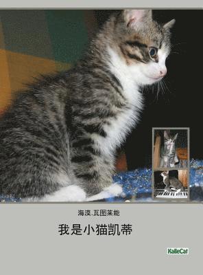 我是小猫凯蒂/照片书