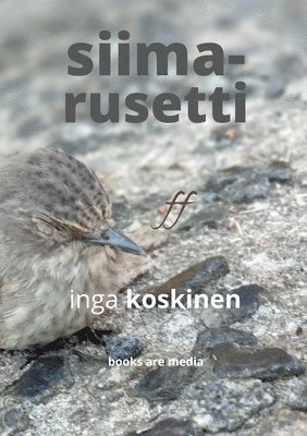 bokomslag Siimarusetti