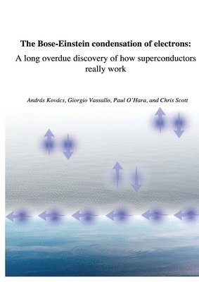 András Kovács, Giorgio Vassallo, Paul O'Hara - Bose-Einstein condensation of electrons, Häftad