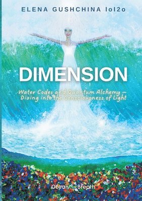bokomslag Dimension