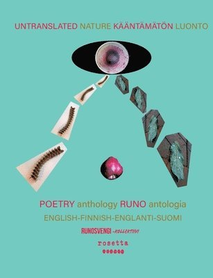 Leena Sainio, Pirjo Kotamäki, Lauri Vanhala, Kasper Salonen, Zoila Forss, Andy Willoughby, Ursula Anttila-Halinen, O. R. Helle-Kotka - Untranslated Nature - Kääntämätön Luonto, Häftad