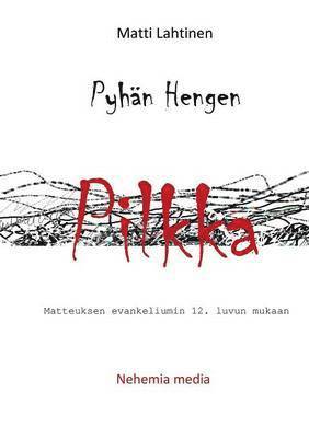 bokomslag Pyhän Hengen pilkka