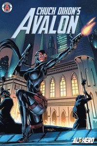 bokomslag Chuck Dixon's Avalon Volume 1
